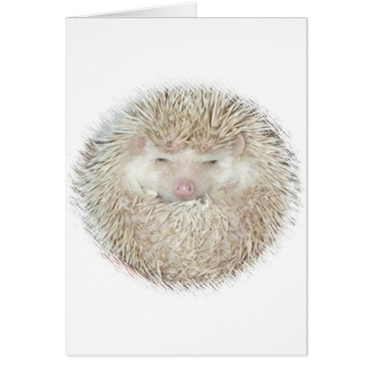 Hedgehog in a Ball Cards (Front)