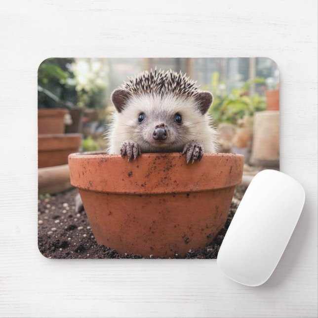 Hedgehog in a Clay Flower Pot Mouse Pad (With Mouse)