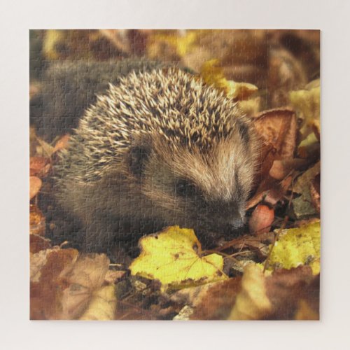 Hedgehog In Autumn Jigsaw Puzzle