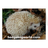 hedgehog in leaves card (Front Horizontal)