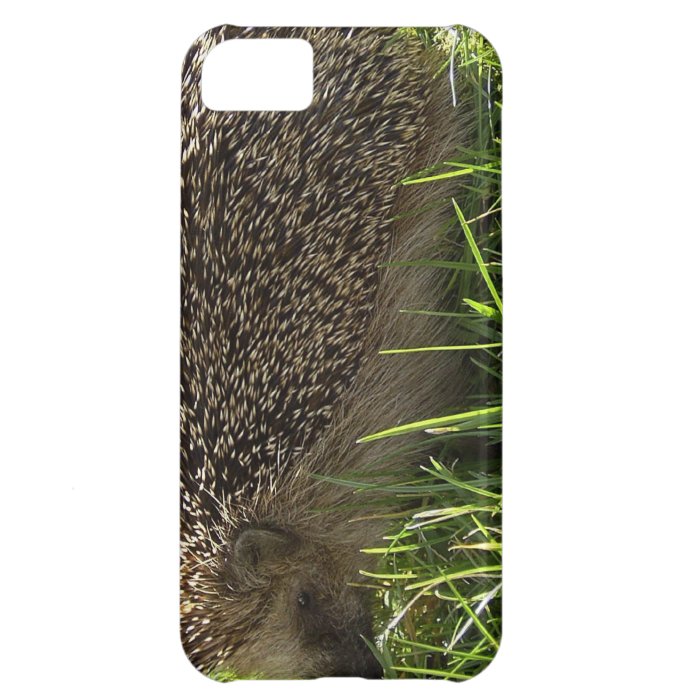 Hedgehog iPhone 5C Cases