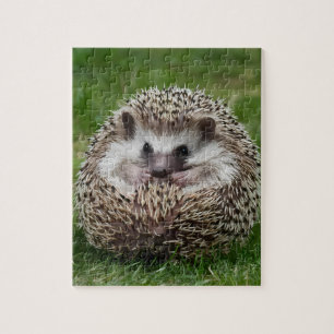 Hedgehog Jigsaw Puzzle