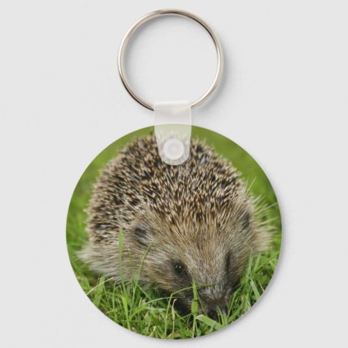 Hedgehog Key Chain