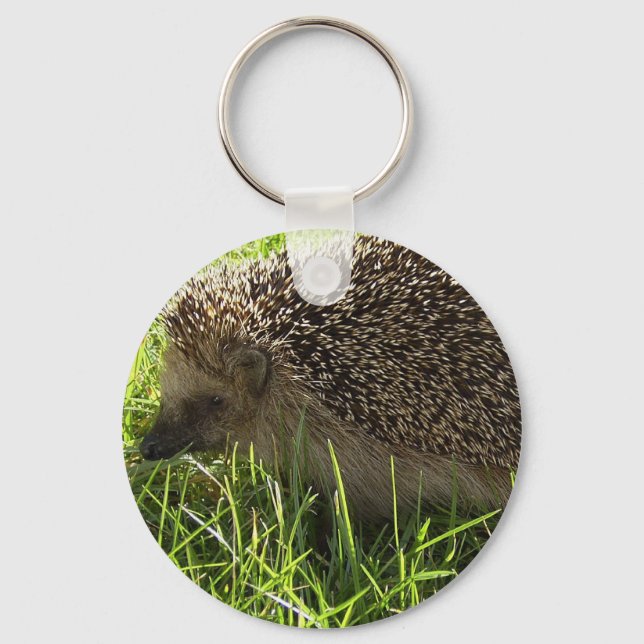 Hedgehog Keychain (Front)
