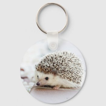 Hedgehog Keychain by The_Everything_Store at Zazzle
