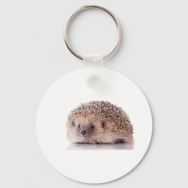 Hedgehog, Keychain (Front)