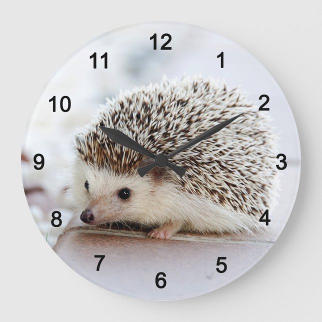 hedgehog large clock (Front)