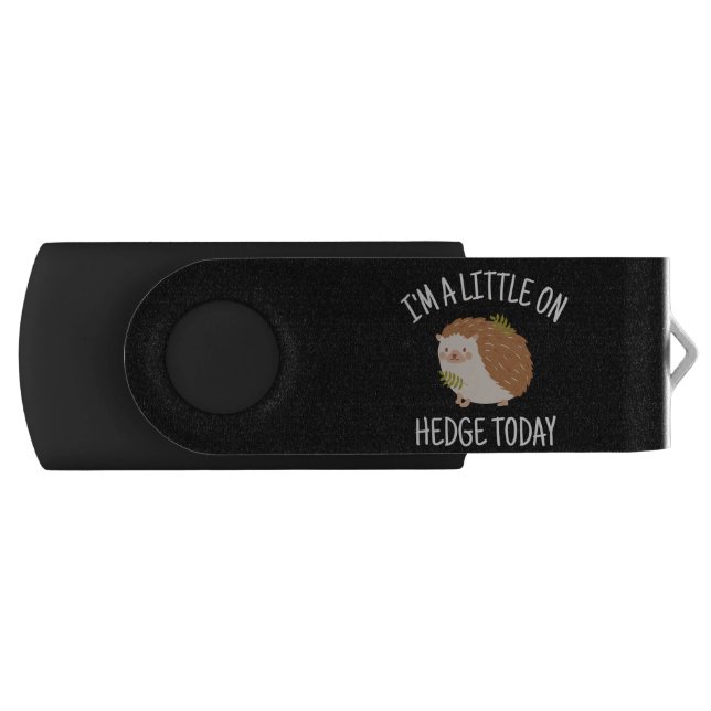 Hedgehog Little on Hedge Today Flash Drive (Front)