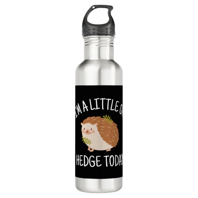 Hedgehog Little on Hedge Today Stainless Steel Water Bottle (Front)