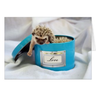 Hedgehog Love card