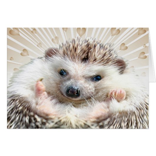 Hedgehog Love Cards (Front Horizontal)