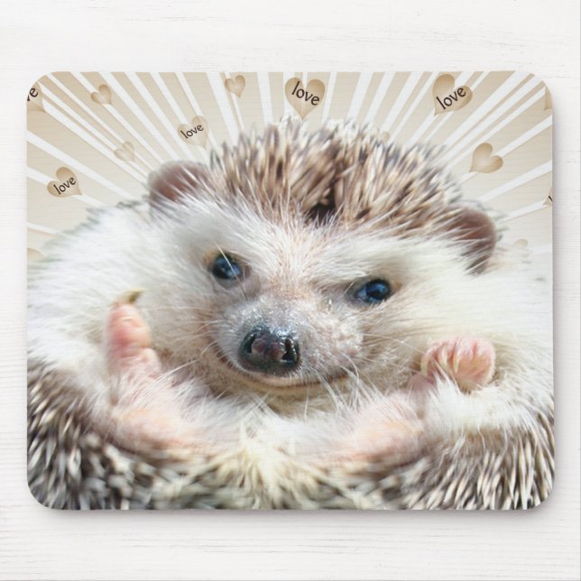 Hedgehog Love Mousepad (Front)