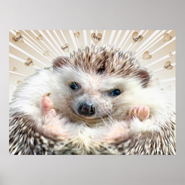 Hedgehog Love Poster (Front)