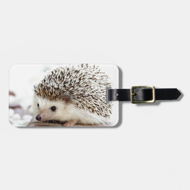 Hedgehog Luggage Tag (Front Horizontal)