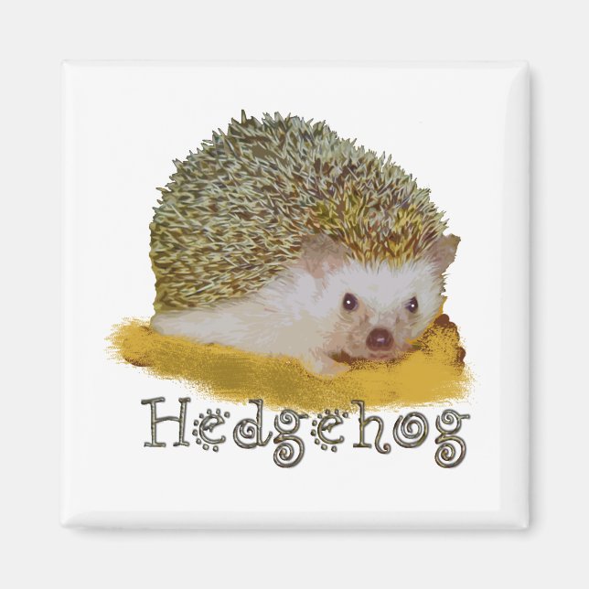 Hedgehog magnet (Front)