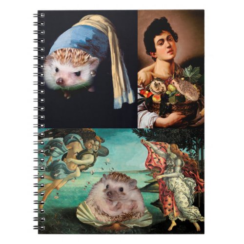 Hedgehog Masterpieces Notebook