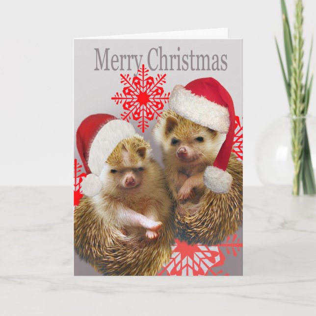 Hedgehog Merry Christmas Cards (Front)