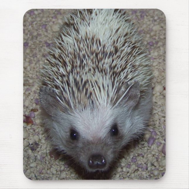 Hedgehog Mouse Pad (Front)