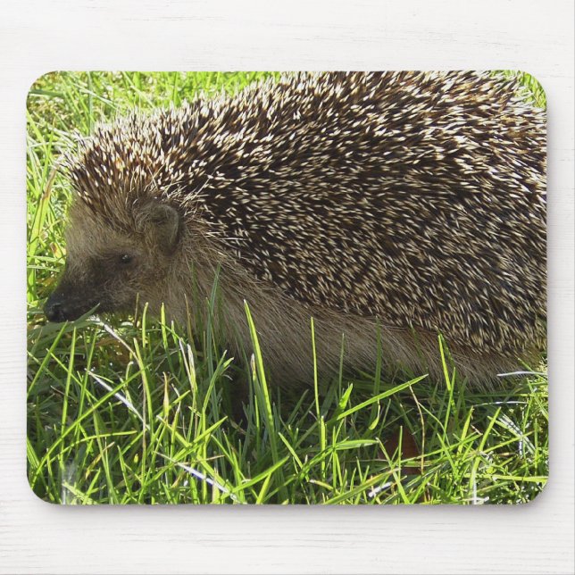 Hedgehog Mouse Pad (Front)