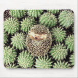 Hedgehog Mousepad<br><div class="desc">Adorable Mousepad For The Hedgehog Lover In You!</div>