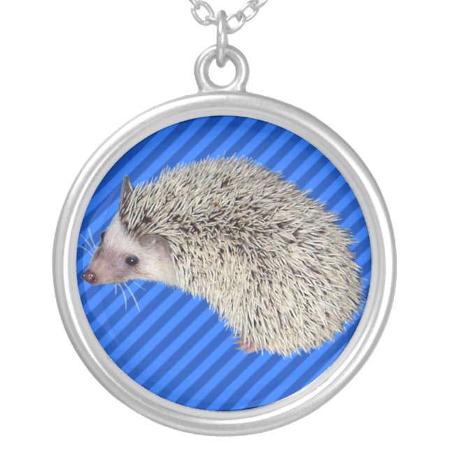 Hedgehog Necklace 1 (Front)