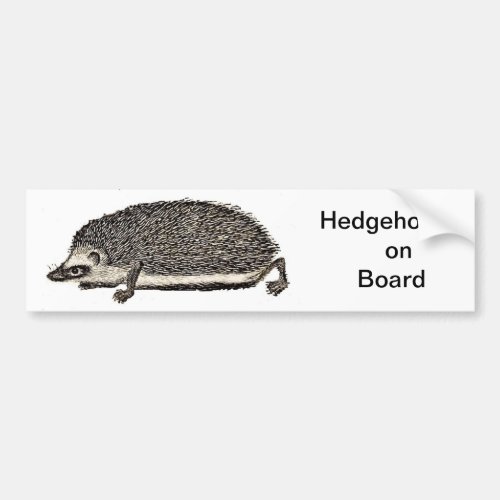 Hedgehog on Board _ BUMPER STICKER