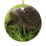 Hedgehog Ornament