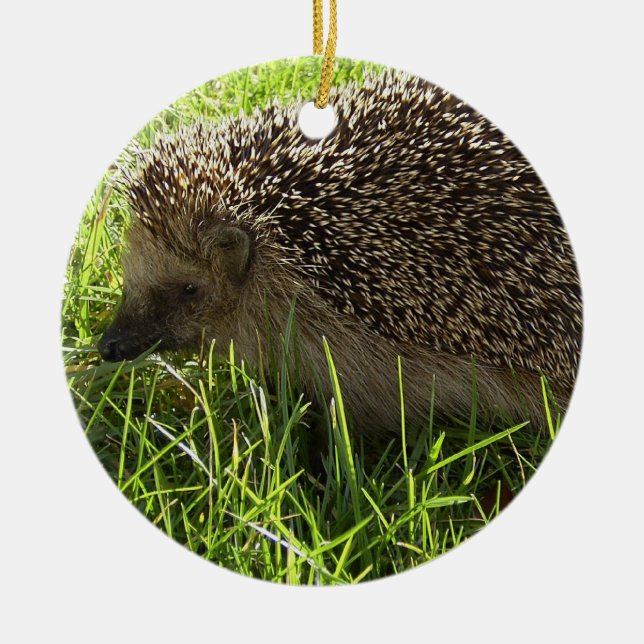 Hedgehog Ornament (Front)