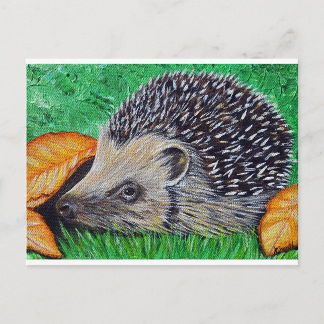 Hedgehog Painting Postcard (Front)