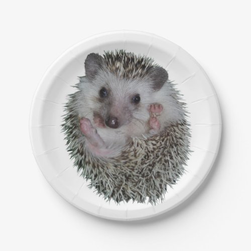 Hedgehog Paper Plates