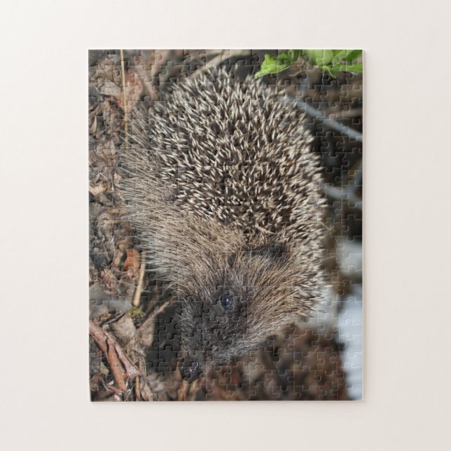 Hedgehog Photo Puzzle (Vertical)