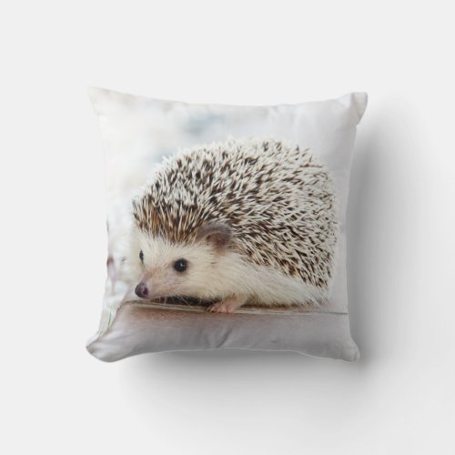 Hedgehog Pillow