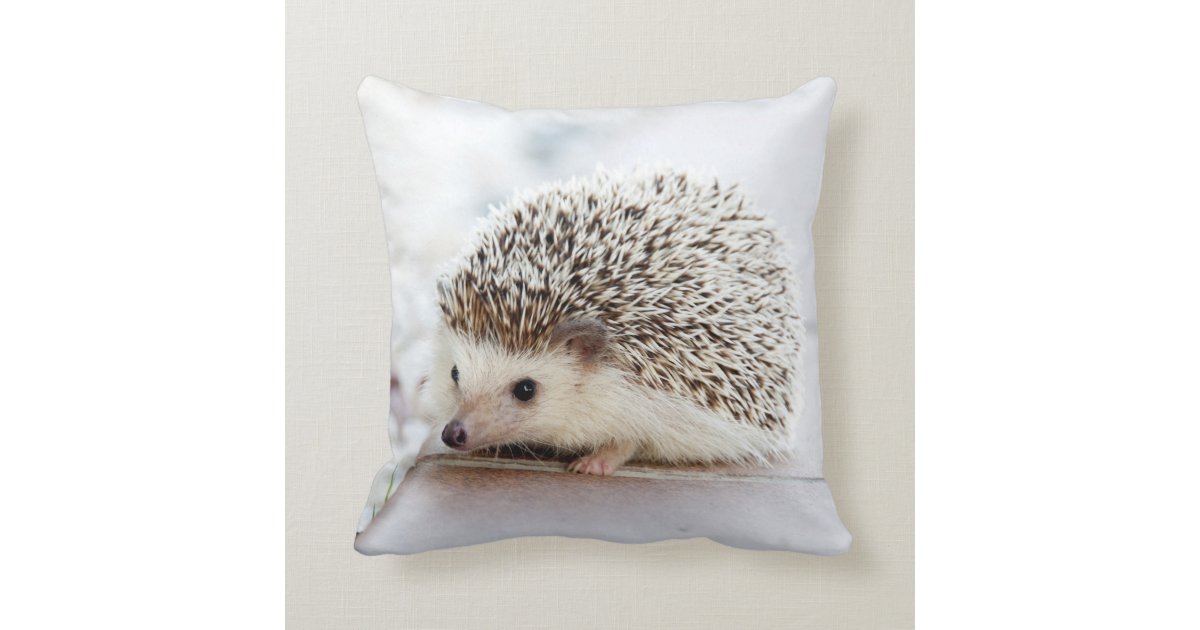 Hedgehog Pillow