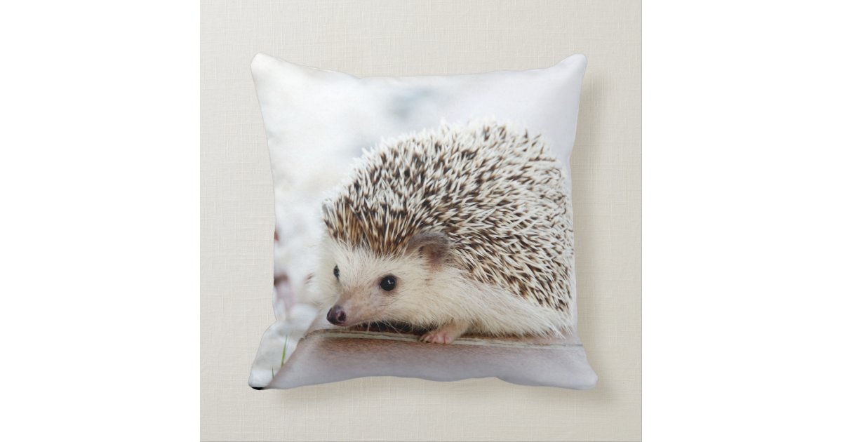 hedgehog christmas pillow