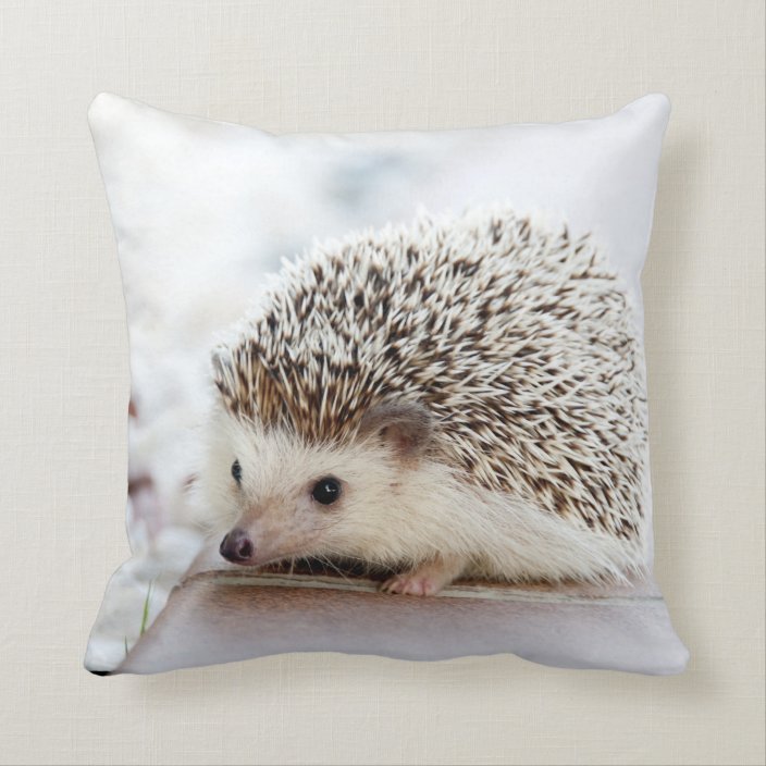 hedgehog christmas pillow