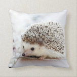 Hedgehog Pillow<br><div class="desc">This is a reversible hedgehog pillow for all those hedgehog lovers out there! The front and back contain two different pictures of a hedgehog - and they are adorable!</div>