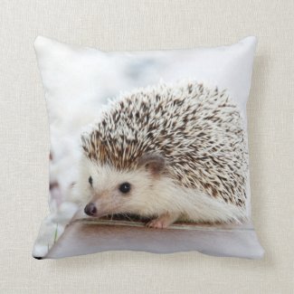 Hedgehog Pillow