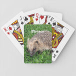 Hedgehog Poker Cards