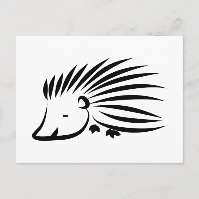 Hedgehog Postcard (Front)