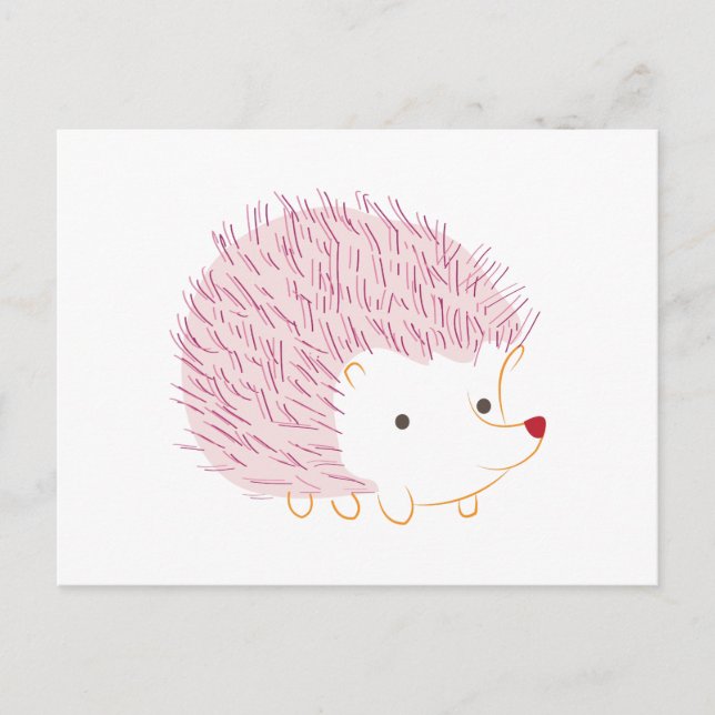 Hedgehog Postcard (Front)