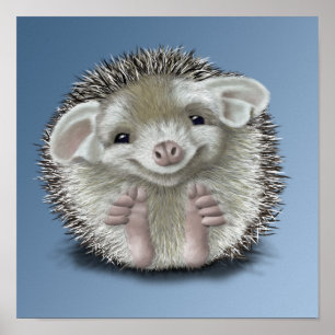 Hedgehog Poster