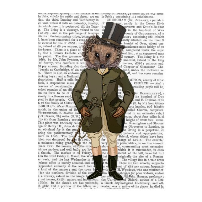 Hedgehog Rider Full Acrylic Print (Front)