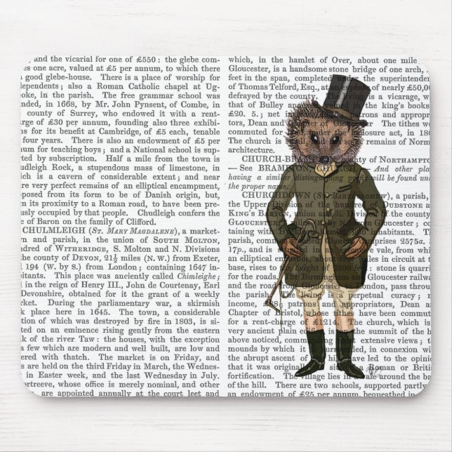 Hedgehog Rider Full Mouse Pad (Front)