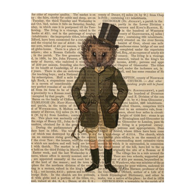 Hedgehog Rider Full Wood Wall Art (Front)