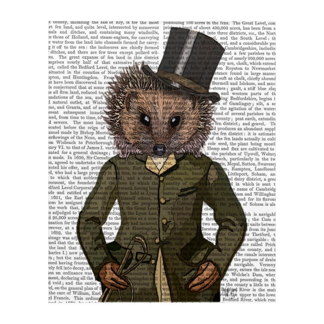Hedgehog Rider Portrait Acrylic Print (Front)
