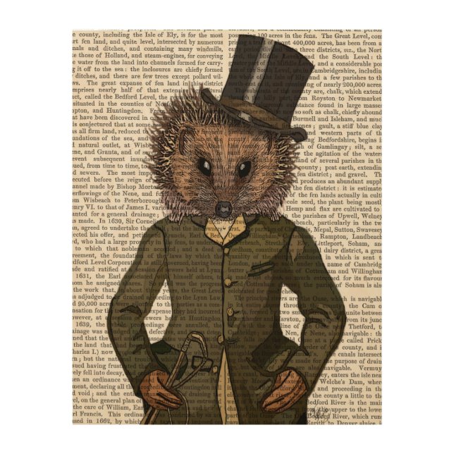 Hedgehog Rider Portrait Wood Wall Decor (Front)