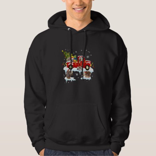 Hedgehog Riding Red Truck Xmas Merry Christmas Hoodie