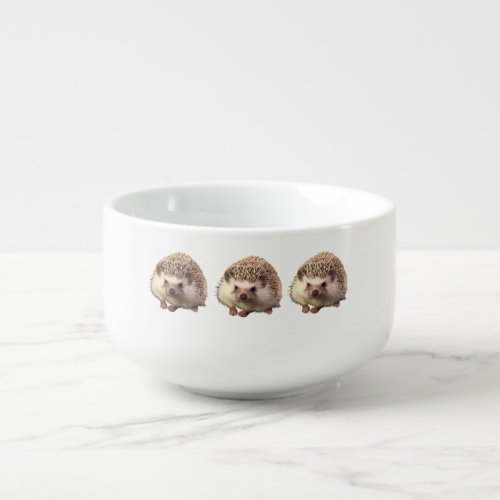 Hedgehog Soup Mug