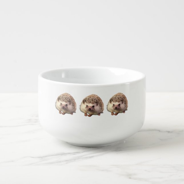 Hedgehog Soup Mug (Front)