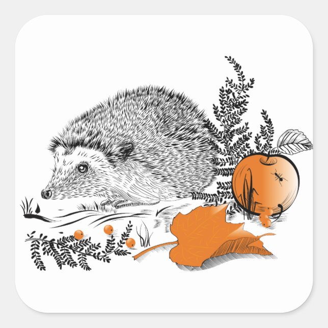 Hedgehog Square Sticker (Front)
